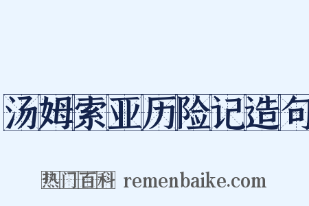 汤姆索亚历险记造句是什么意思的图片